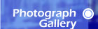 Photograph Gallery